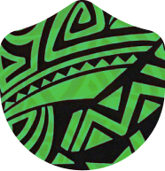 feature icon